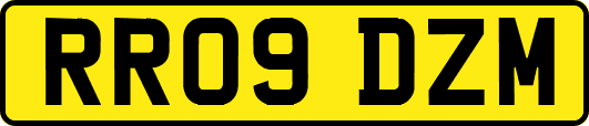 RR09DZM