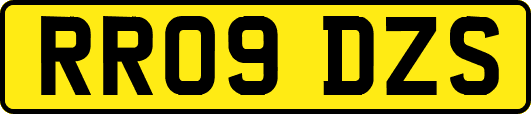 RR09DZS