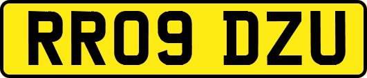 RR09DZU