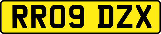 RR09DZX