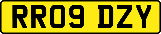 RR09DZY