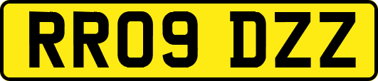 RR09DZZ