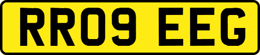 RR09EEG