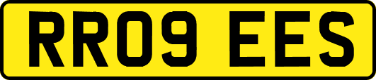 RR09EES