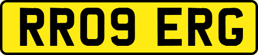 RR09ERG