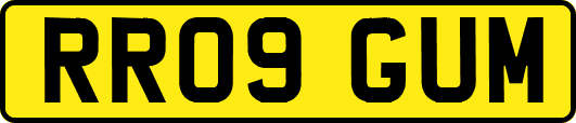 RR09GUM