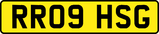 RR09HSG
