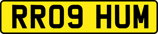 RR09HUM
