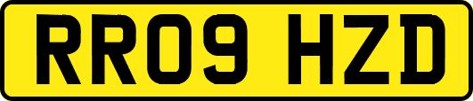 RR09HZD