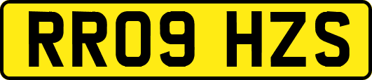 RR09HZS