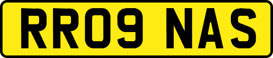 RR09NAS