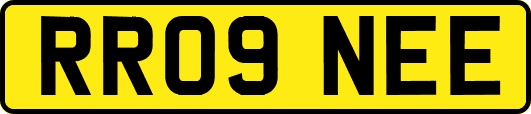 RR09NEE