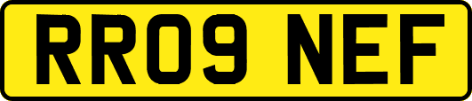 RR09NEF