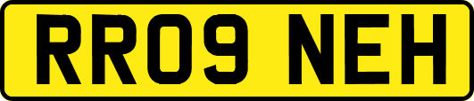 RR09NEH