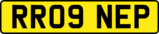 RR09NEP