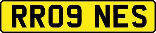 RR09NES