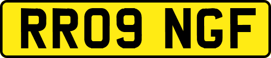 RR09NGF