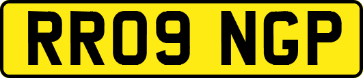 RR09NGP