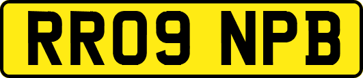 RR09NPB