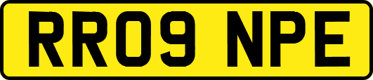 RR09NPE