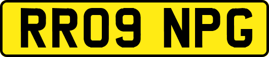 RR09NPG