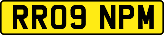 RR09NPM