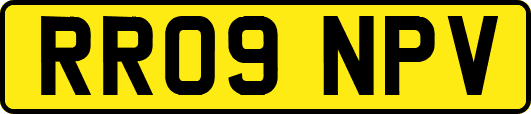 RR09NPV