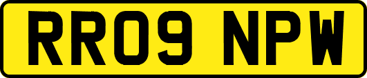 RR09NPW