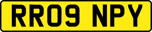 RR09NPY