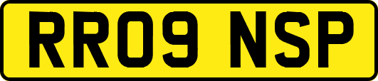 RR09NSP