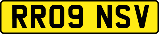 RR09NSV