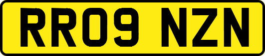 RR09NZN