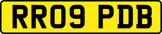 RR09PDB
