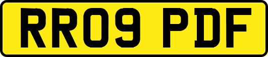 RR09PDF