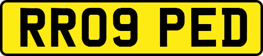 RR09PED