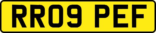RR09PEF