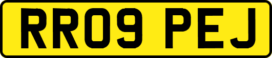 RR09PEJ