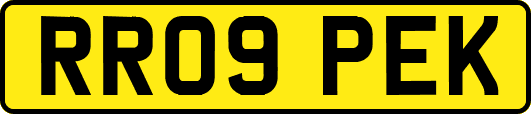RR09PEK