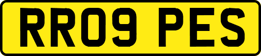 RR09PES