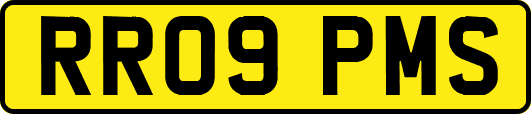 RR09PMS