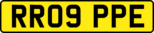 RR09PPE