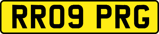 RR09PRG