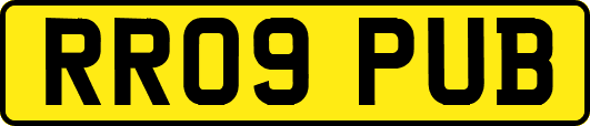 RR09PUB