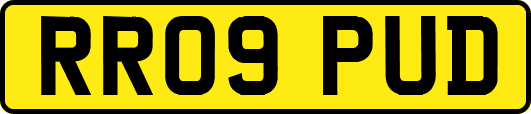 RR09PUD