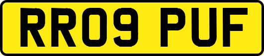 RR09PUF