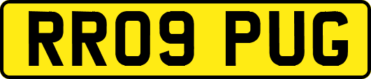 RR09PUG