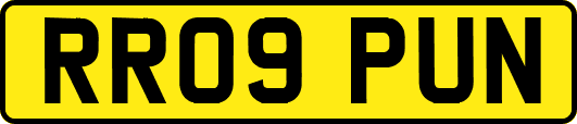 RR09PUN