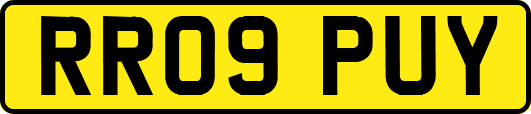 RR09PUY