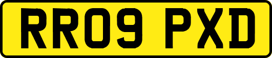 RR09PXD