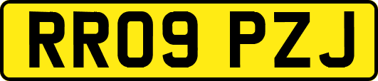 RR09PZJ